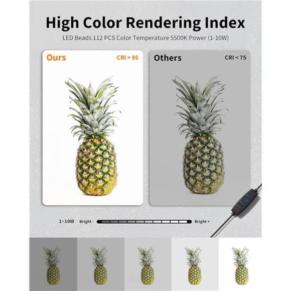 Portable Light Box Photography, 16"x12" Professional Dimmable Photo Box - Picture 2 of 6